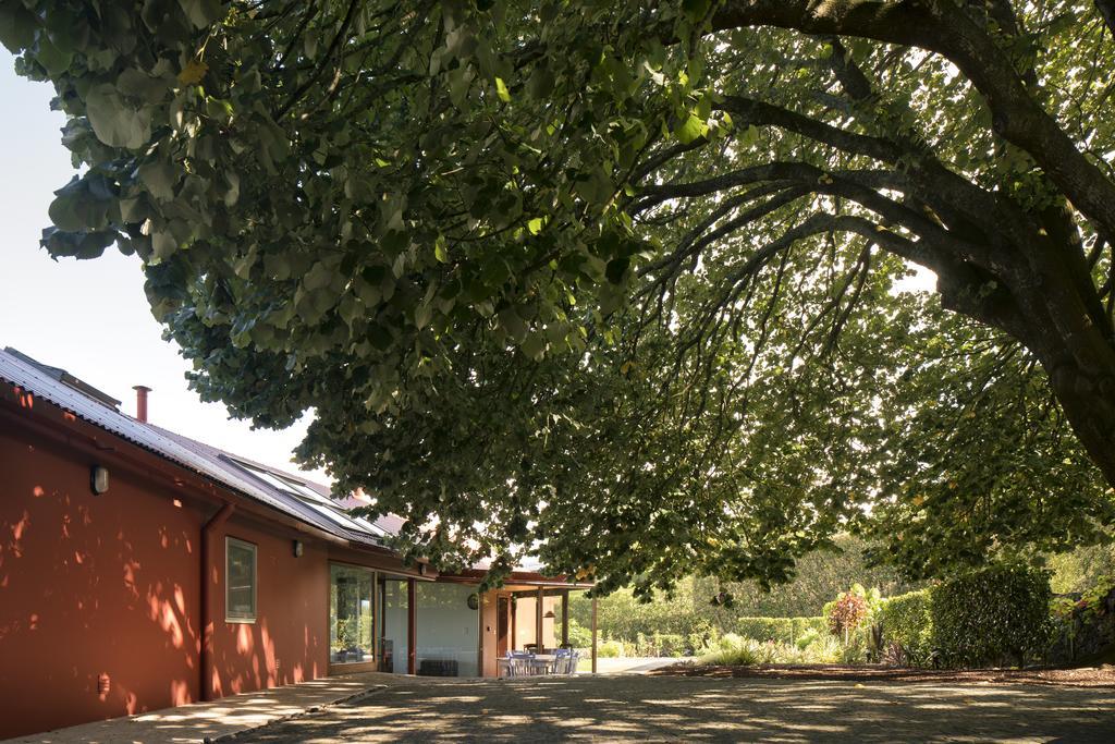 Гостевой дом Quinta Da Tilia Boutique Retreat Капелаш Экстерьер фото